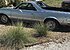 1983 Chevrolet El Camino for sale 100984497